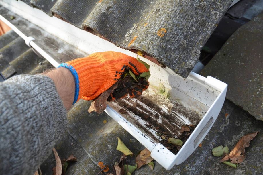 How to Choose the Right Gutter Cleaning Company for Your Home