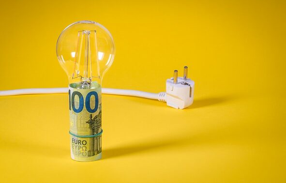 bulb